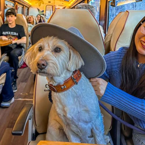 Page de couverture de Gu&iacute;a del Viajero