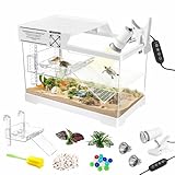 GOZILLA Mini-Schildkröten-Tank-Set mit Lampe, Upgrade-PC-Schildkröten-Tank-Starter-Set mit verstellbarer Lampe, Reptilien-Lebensraum mit Deckel, Hängeplattform für Babyschildkröten und
