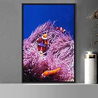 Framed Canvas Wall Art Clownfish Bedroom Colorful Jellyfish Marine Life Multicolor Neon Photography Tropical - 16x24 inches