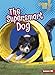 Produktbild The Supersmart Dog (Lightning Bolt Books)