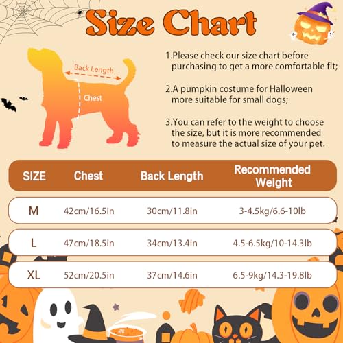 Winmany Süßes Kürbis-Kostüm für kleine Hunde und Katzen, leichtes Haustier-Halloween-Outfit, lustige Herbstkleidung für Haustiere, Party, Cosplay, Fotoshooting, Größe M