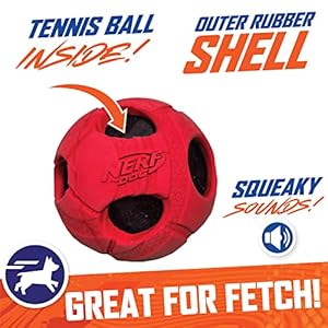 Nerf Dog Bash Rubber Wrapped Tennis Ball Dog Toy Lightweight Durable and Water Resistant 2 Inches for SmallMedium Breeds Single Unit Red