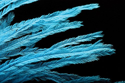 Hareline Fly Tying Ostrich Herl - Natural Ostrich Herl for Fly Tying Nymphs, Streamers & Dubbing Bodies