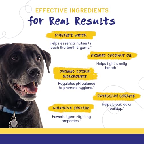 PupGrade Dental Care Water Additive Solution - Advanced Oral Care for Dogs - Dental Rinse for Fresh Breath to Fight Against Bad Breath, Plaque, and Tartar - Image 5