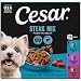 CESAR Gourmet Wet Dog Food Variety Packs - 24 Trays