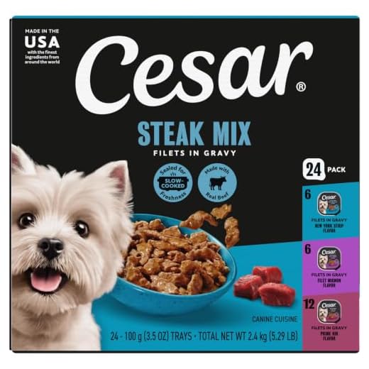 Cesar Filets in Gravy Adult Wet Dog Food Variety Pack, Filet Mignon, New York Strip, and Prime Rib Flavors, 3.5 oz. Easy Peel Dog Food Tray, 24 Count (Pack of 1)