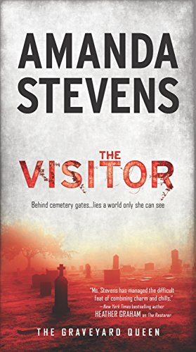 The Visitor view 2