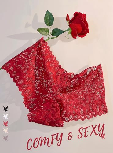 Image of ALL OF SHE Sexy Underwear Panties for Women Cheeky V Waist Lace Boyshorts Lingerie Plus Size Underwear Gift Wife Women 5 Pack