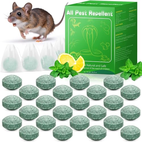 Yineaae Mäuse Vertreiben, 24 Stück Mäuseköder, Rattenabwehr - Pfefferminzöl, Extra Stark Anti Spinnen,...