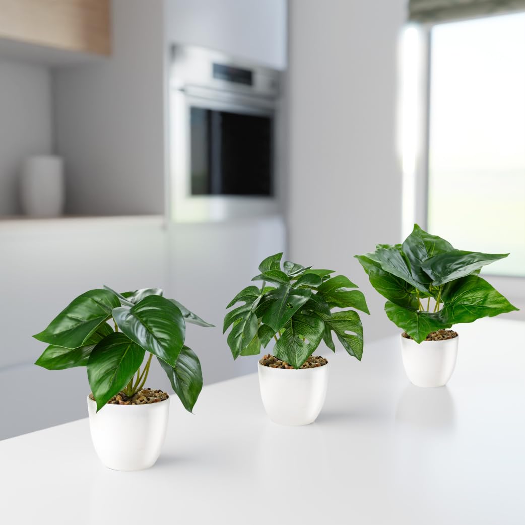 PASCH® Set di 3 piante artificiali come reali (18 cm) in vasi di ceramica lucida, piante artificiali in vaso, fiori artificiali in vaso