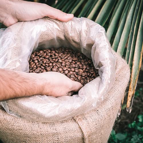 Cafe Jaguar Molido Tueste Natural - Café De Especialidad - Blend Nicaragua-India - Sabor Fuerte - Perfecto para espresso… - Imagen 3