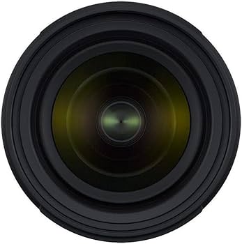 Amazon.com : Tamron 17-28mm f/2.8 Di III RXD for Sony Mirrorless