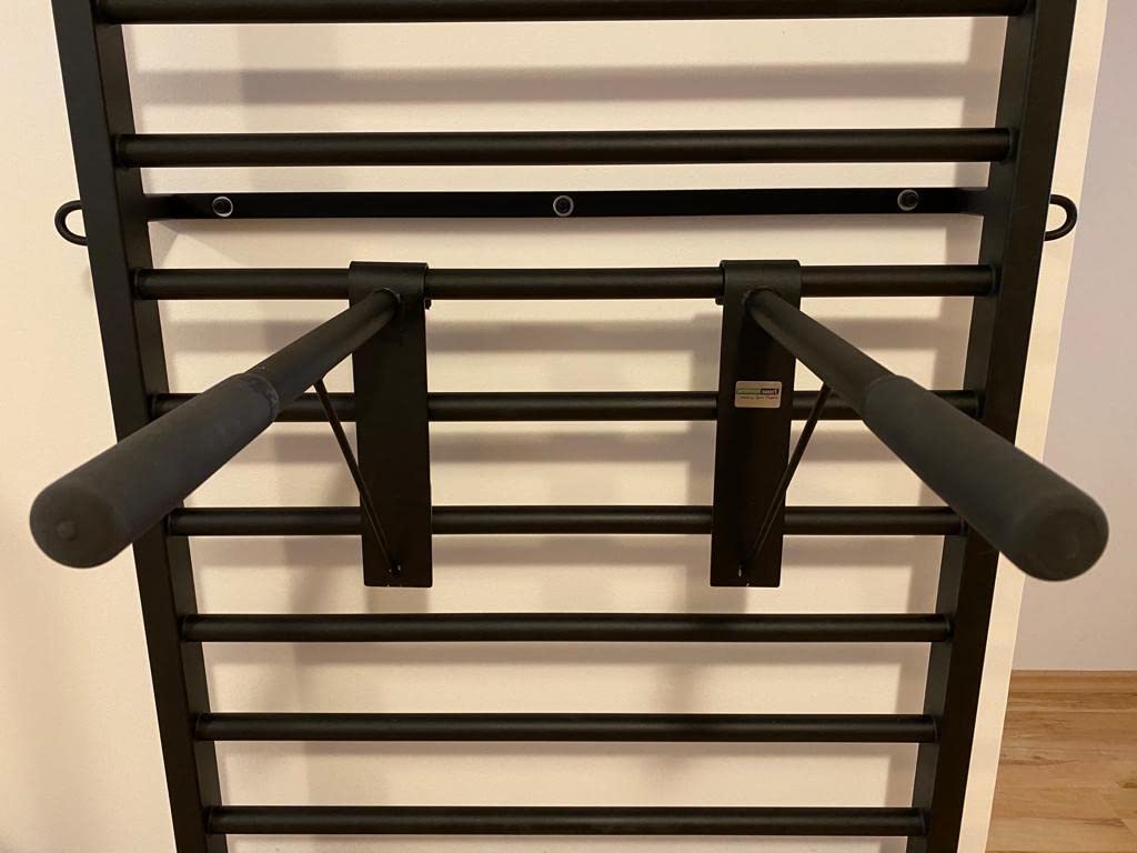 ARTIMEX Barre à dips (Barre d'immersion) pour l'espalier - utilisée dans Les Maisons, Les gymnases ou Les centres de Fitness pour l'entraînement et Le Fitness, Code 270-FI