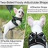 rabbitgoo-Small-Dog-Harness-Step-in-Soft-Mesh-Dog-Harness-with-4-Adjustable-Straps-No-Pull-Dog-Vest-Harness-with-Double-Clips-Reflective-Strips-Escape-Proof Small Dog Harness with Double Clips