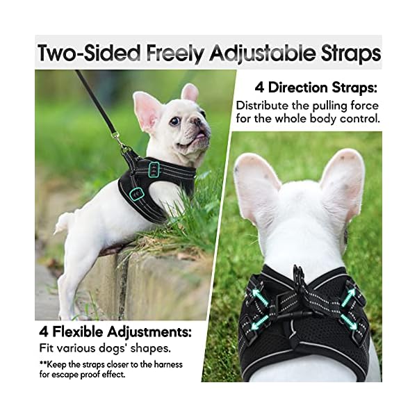 rabbitgoo-Small-Dog-Harness-Step-in-Soft-Mesh-Dog-Harness-with-4-Adjustable-Straps-No-Pull-Dog-Vest-Harness-with-Double-Clips-Reflective-Strips-Escape-Proof Small Dog Harness with Double Clips