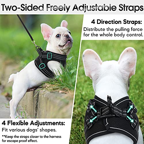 rabbitgoo Small Dog Harness, Soft Mesh Dog Harness with 4 Adjustable Straps, No Pull Dog Vest Harness with Double Clips… - Image 4