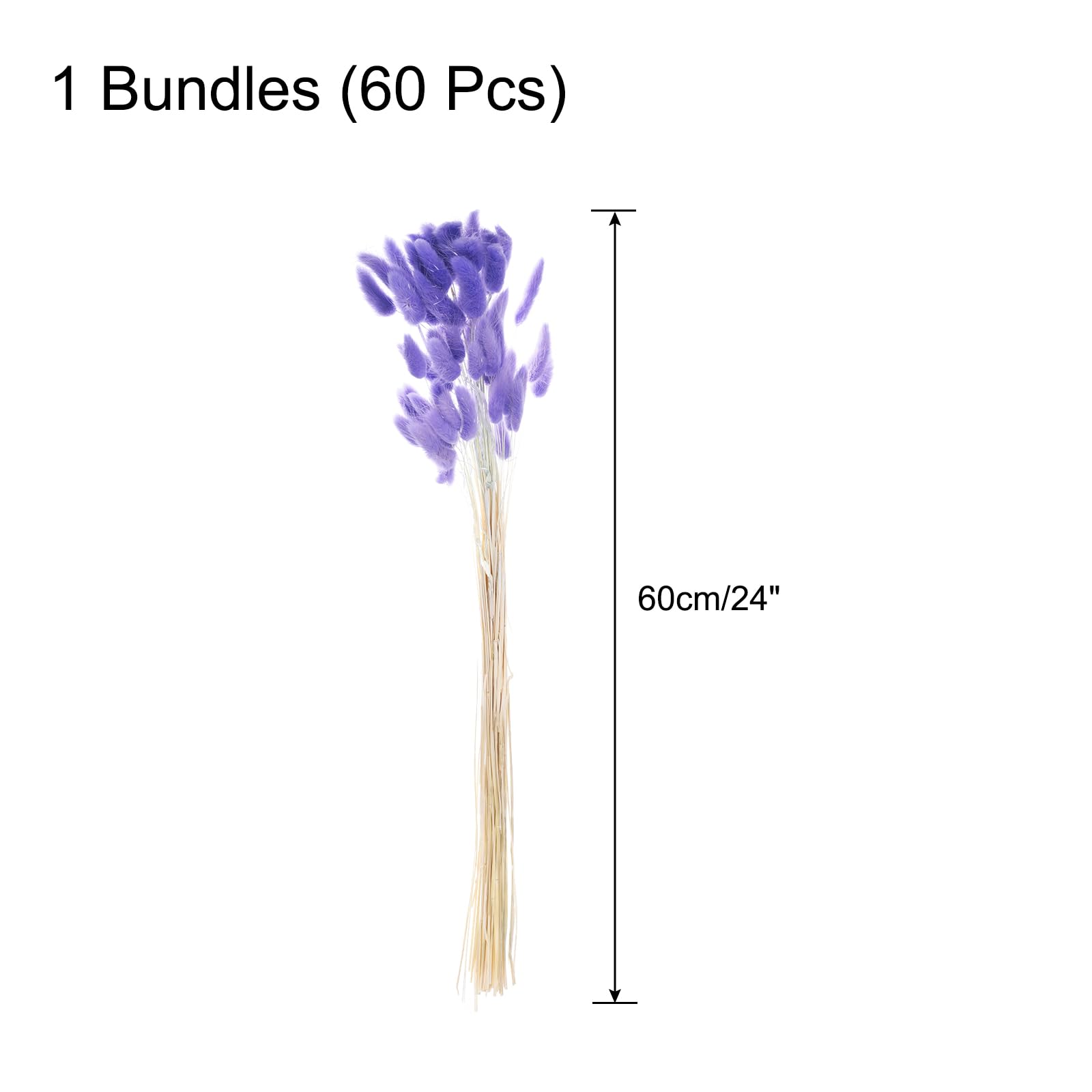 QUARKZMAN 60Pcs Queue de Lapin Naturelle Fleurs Séchées 60cm Violet Lavande | Mini Herbe de Pampa Lagurus Ovatus, Bouquet pour Décoration Florale Mariage Noël