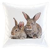 Merchandise for Fans