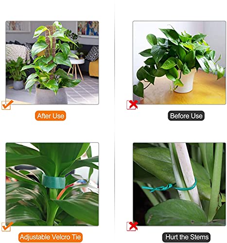2 Stück Pflanzstab Kokos Moosstab für Pflanzen Pflanzstab Rankstab Monstera Rankhilfe Kokosstab für Kletterpflanzen mit 1 Rolle Klett Kabelbinder und 1,5 m Jute Schnur (40 cm) Cover