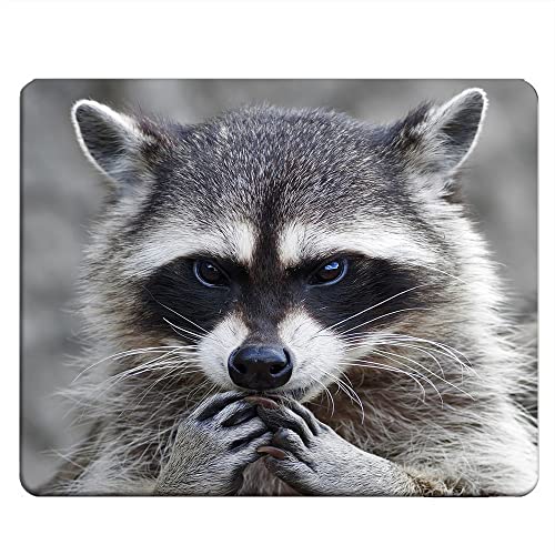 Nicokee Raccoon Rectangle Gaming Mousepad Lovely Raccoon Whild Animal Mouse Pad Mouse Mat for Computer Desk Laptop Office 9.5 X 7.9 Inch Non-Slip Rubber