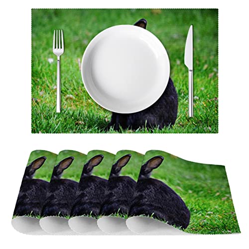 Sets de table noirs 30,5 x 45,7 cm résistants aux taches - 3