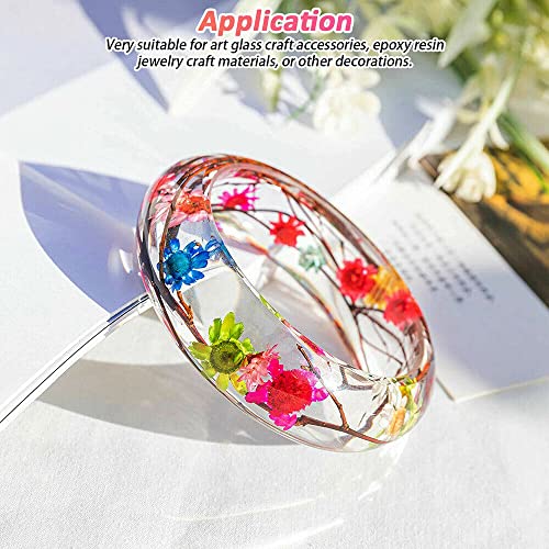 710 pcs Flores secas para manualidades DIY miniatura 7
