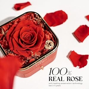 Preserved roses gift jewerlry box real eternal rose flower with necklace gifts for girlfriend mom women wife birthday and mothers day  urban country home decor
