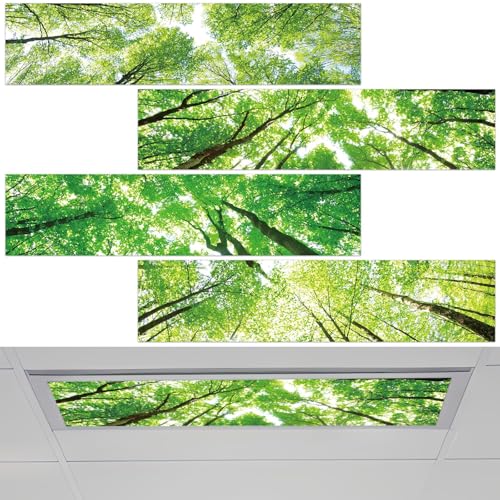 Wiooffen 4 Pcs Fluorescent Light Covers Review: Decorative Magnetic Light Filters for Classrooms, Offices, and Homes