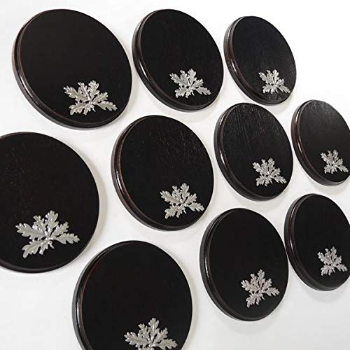 GTK - Geweihe & Trophäen KRUMHOLZ 10 Placas de cuña de 19 cm con 10 Portadas de Hojas de Roble de 6 Hojas