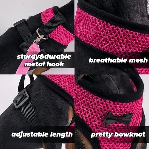 Image of 3 Pack Chicken Harness and Leash Set Adjustable Hen Vest with Matching Belt Breathable Mesh Training Harness Pets Leash for Hens Duck Goose Small Pet-Black&Red&Pink,S