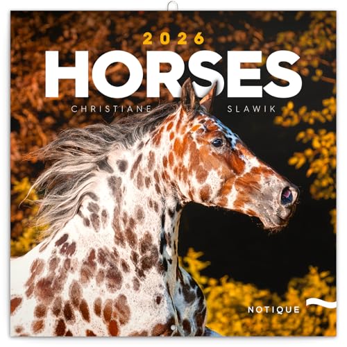 NOTIQUE Wall Calendar 2026 Horses Calendar Brochure Calendar with Monthly Calendar Brochure Calendar 30 x 30 cm (30 x 60 Open)