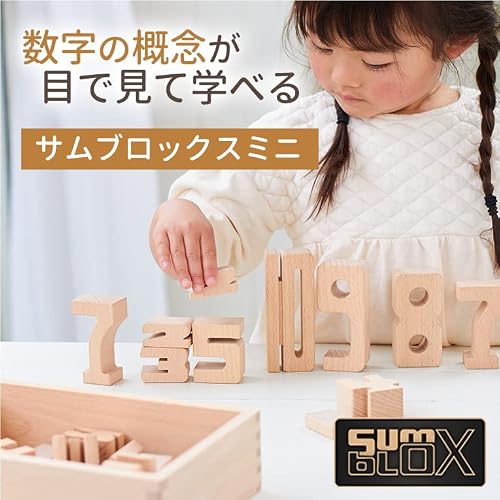 サムブロックス ミニスターターセット 関連画像 1
