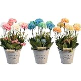 【Decoración atractiva para el hogar】 Las flores pueden ayudar a las personas a relajarse y alegrar el color en la habitación. Esta planta es perfecta para exhibir en su oficina, dormitorio, sala de estar, mesa de café, alféizar de la ventana, balcón, estantería, comedor, gabinete, escritorio, cocina, vestíbulo, jardín, bodas, inauguración de la casa, Navidad, etc. para traer más colorido y estilo orgánico