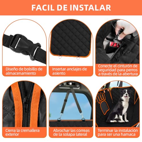 Encuentra la mejor selección de Accesorios para perros para comprar hoy. 27 Imagen adicional