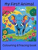  Animals Alphabet Colouring and Tracing Book