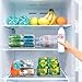 BingoHive 1 Unidades de Organizador de latas de refresco Ajustable de Ancho Transparente para refrigerador Imagen de BingoHive 1 Unidades de Organizador de latas de refresco Ajustable de Ancho Transparente para refrigerador