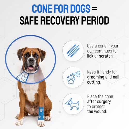 Image of SILVER GRADE Dog Cone Collar for Recovery, Size XL, Neck Girth 16.1-18.9 in