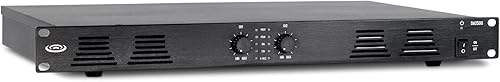 Pure Resonance Audio Amplificador de potencia de montaje en rack de doble impedancia de 500 W DA2500