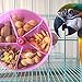 didatecar Vogelfutter Feeder Pet Vogelfutter Box Papagei Fütterung Spielzeugkäfig Montiert Vogelspielzeug, Futterspender Futternapf Kauspielzeug Fütterung Schüssel Intelligenz-Spielzeug Käfigzubehör