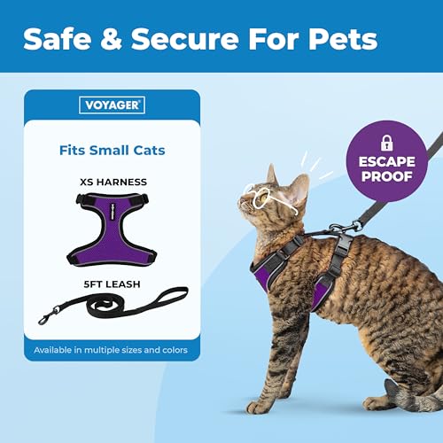 Image of Voyager Escape-Proof Step-in Lock Cat Harness & 5ft Neoprene-Handle Leash Set All-Weather Mesh with Reflective Stitching for Small to Large Cats by Best Pet Supplies, Black Trim-Purple (327), XS