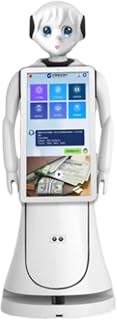Hotel Greeter Robot for Sale, Intelligent Voice Interaction, Guest Guidance, Suitable for Hotels, Schools and Restaurants