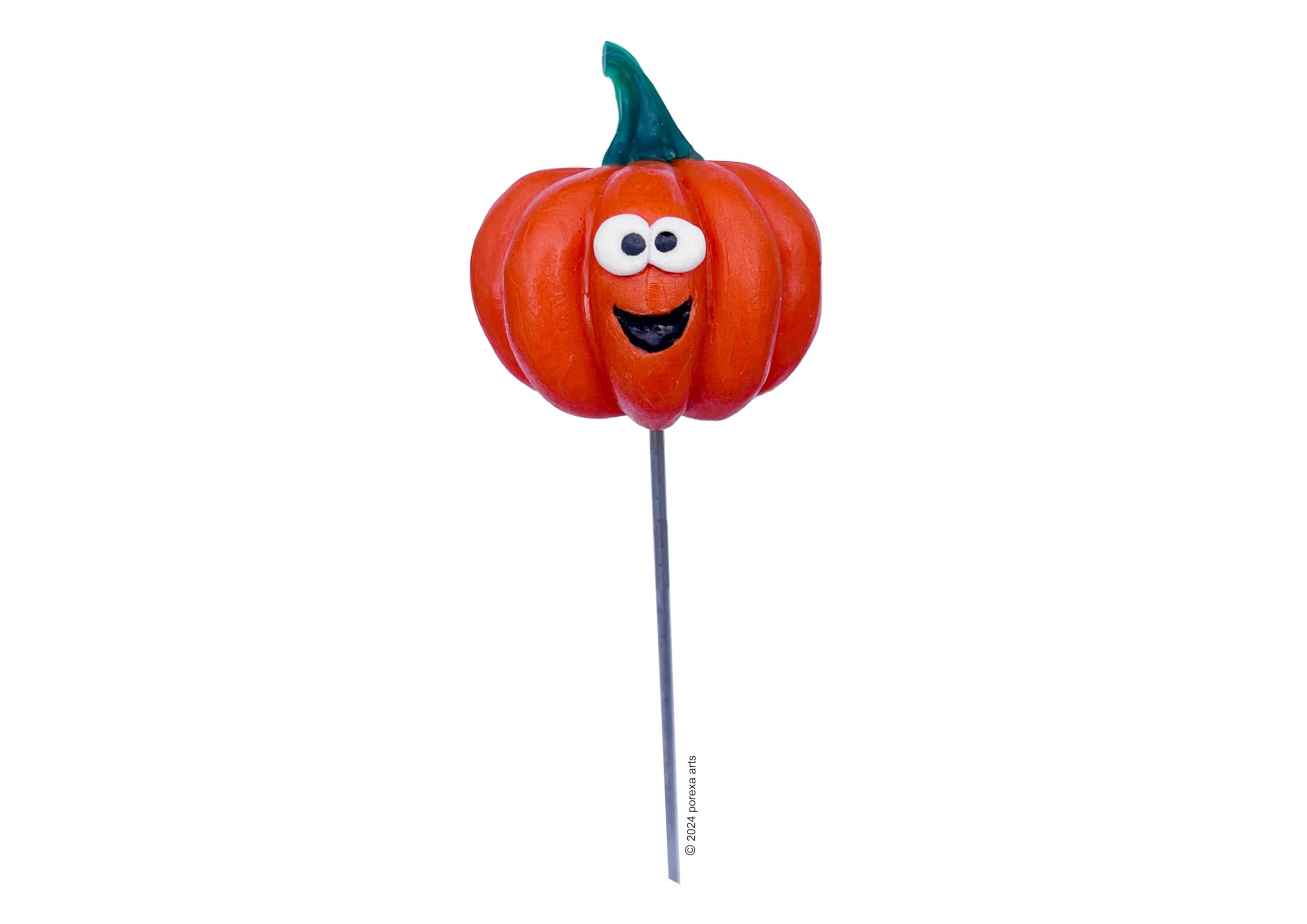 Vegetable Garden Markers for Labelling Seedlings/Plants, Weatherproof, Fun, Unique and Useful Gift for a Gardener. Labels/Signs (Pumpkin (orange, cinderella style))
