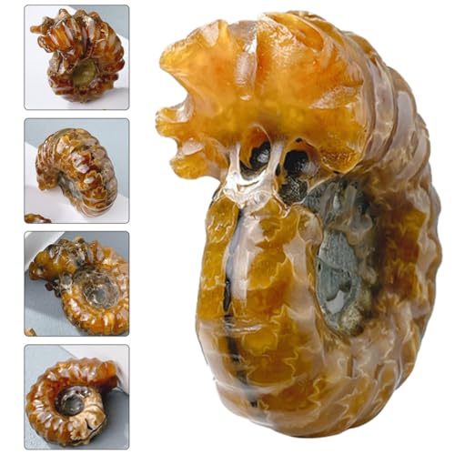 Piedra decorativa de cristal caracola natural TINEASUR hogar 8