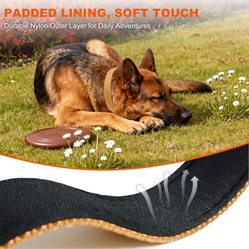 Image of Taglory Reflective Extra Large Dog Collar, Comfortable for Safe Night Walks