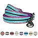 Blueberry Pet Reflective Dog Leash with 3M Safety Stripes, Soft Padded Handle, Strong Nylon Training Lead – Violet & River Blue, Size Medium