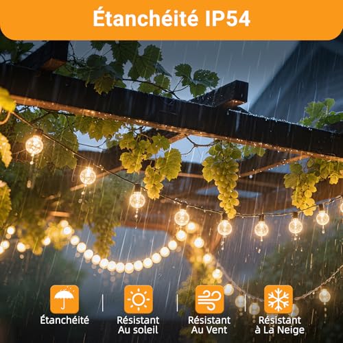 Ampoule LED G40 E12 1W lot de 25 rechanges guinguette blanc chaud