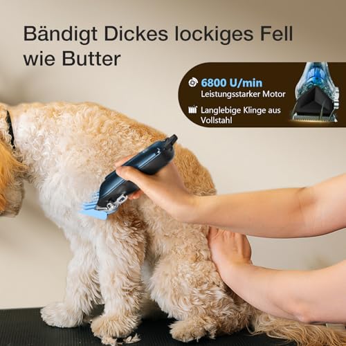 FuzzyFix Leise Hundeschermaschine Dichtes Fell, Profi Schermaschine Hund aus PC, Hunde Haarschneidemaschine Hunderasierer Tierhaarschneidemaschine Hundetrimmer für Dickes Lockiges Tierhaare,Blau