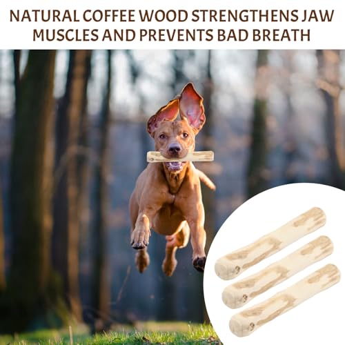 Ziyonix 3 Stück Kaffeeholz für HunDe Kauspielzeug Hund Welpe Kaffeeholz Kaustab für Hund Hundespielzeug Kauen Stifte Kauen Natürliches KaffeeHolz Ideal für Welpen & Kleine Hunde XXS (14cm*1.8-2)