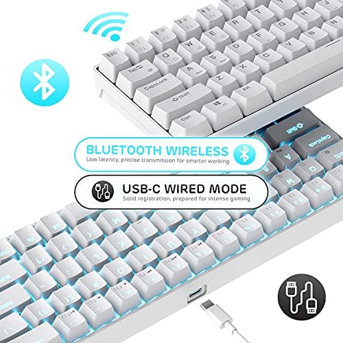 RK ROYAL KLUDGE RK68 65% Hot-Swappable Wireless Mechanical Keyboard, 60% 68 Keys Compact Bluetooth Gaming Keyboard with Stand-Alone Arrow/Control Keys, Clicky Blue Switch,White