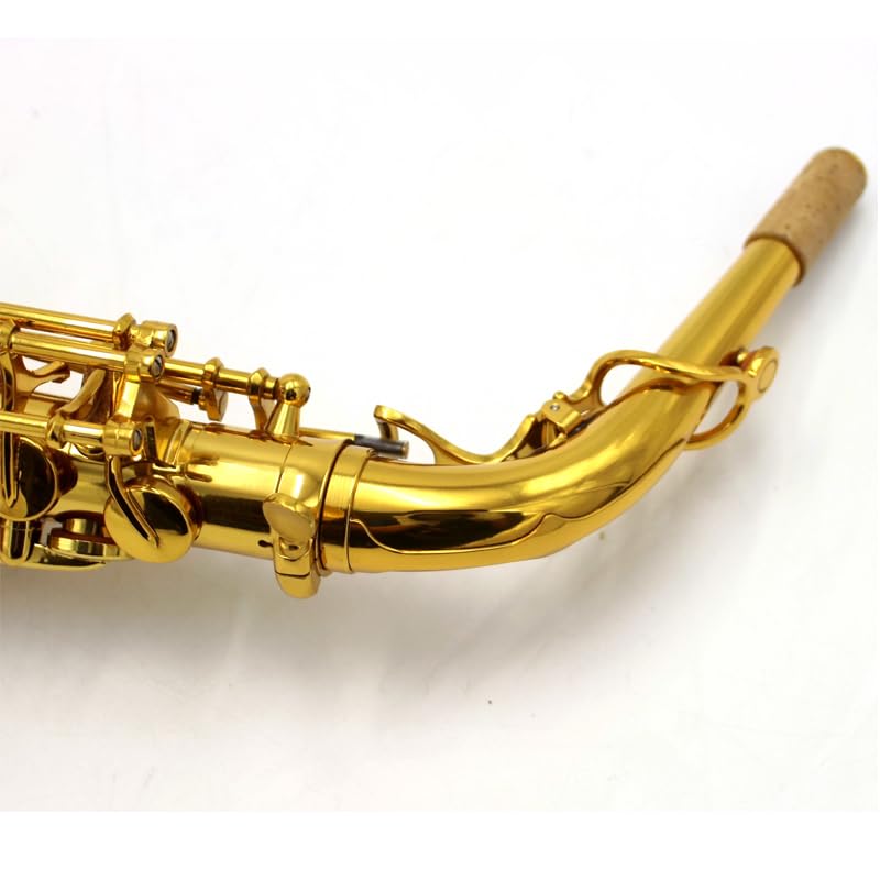 Amazon.com: Eastern music Alto Saxophone ala Yanagisawa A-991
